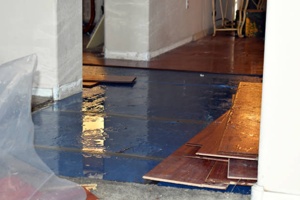 Professional Sewage Cleanup technician working in Bock, MN
